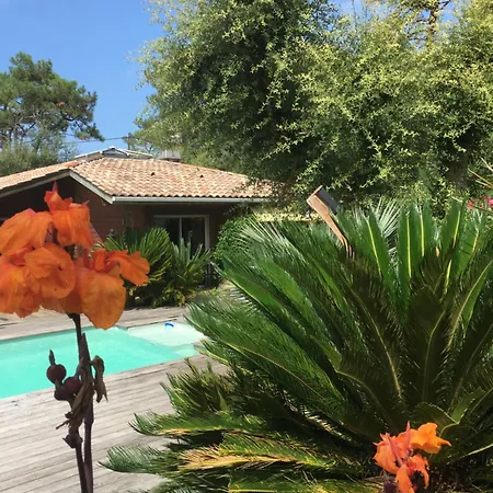 Privatunterkunft L'escale Oceane Labenne